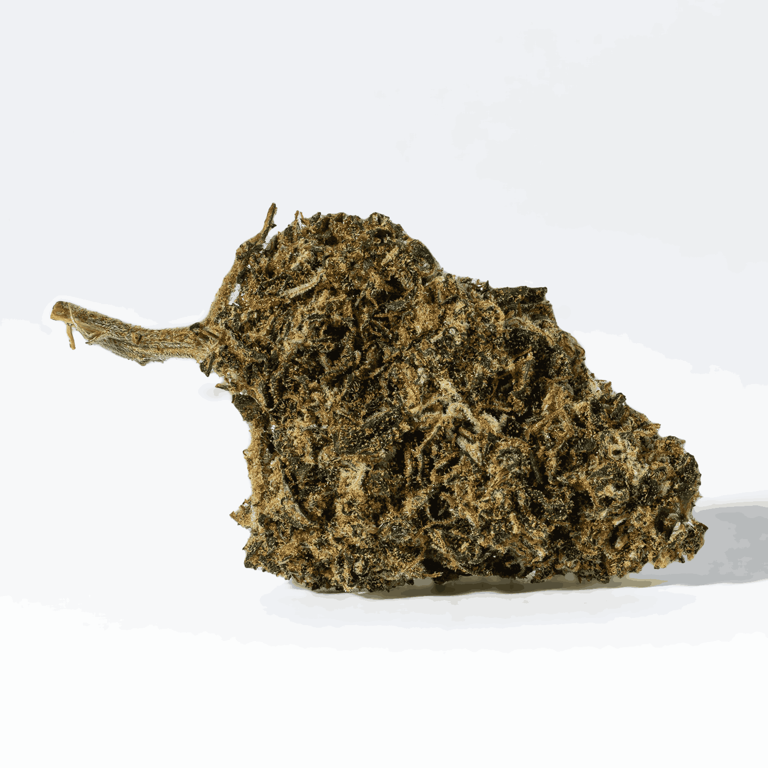 Dark Knight (AA) - Image 3