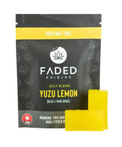 Faded Jelly Blocks - Yuzu Lemon (360mg)