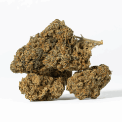 Alternative view of Flap Jack (AA)