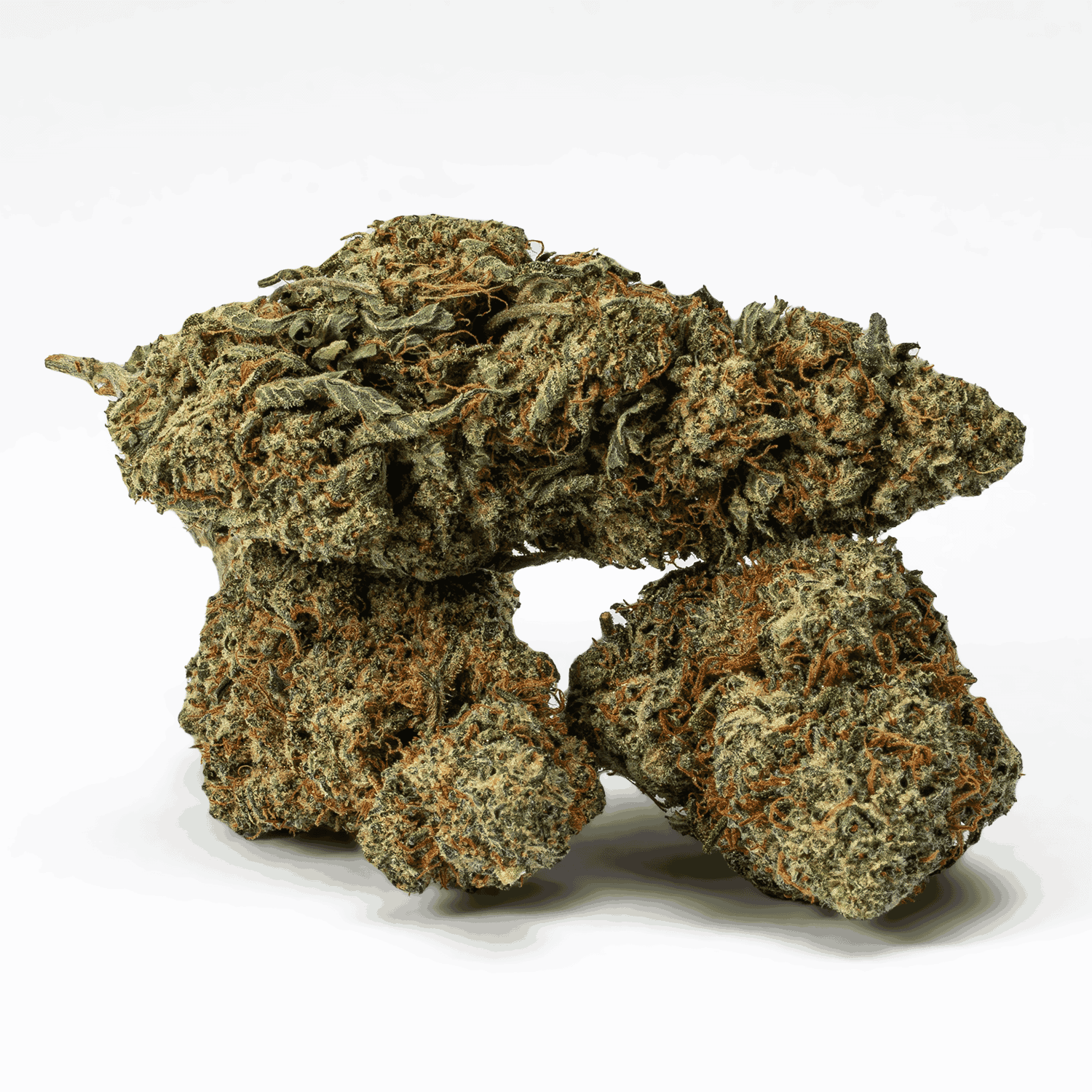 Frosty (AA+) - Image 2