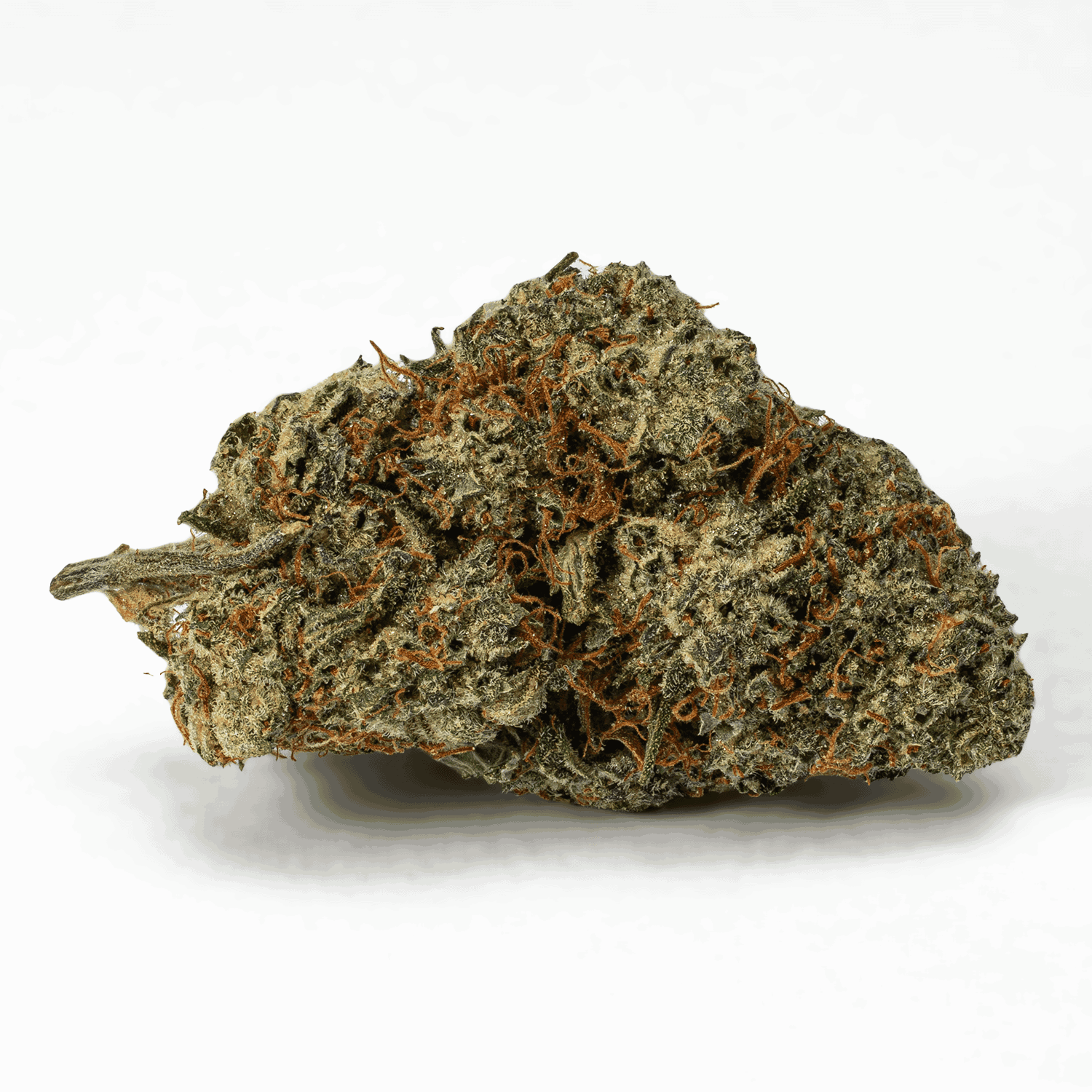 Frosty (AA+) - Image 3