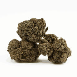 Alternative view of Gasolina (AAAA+)