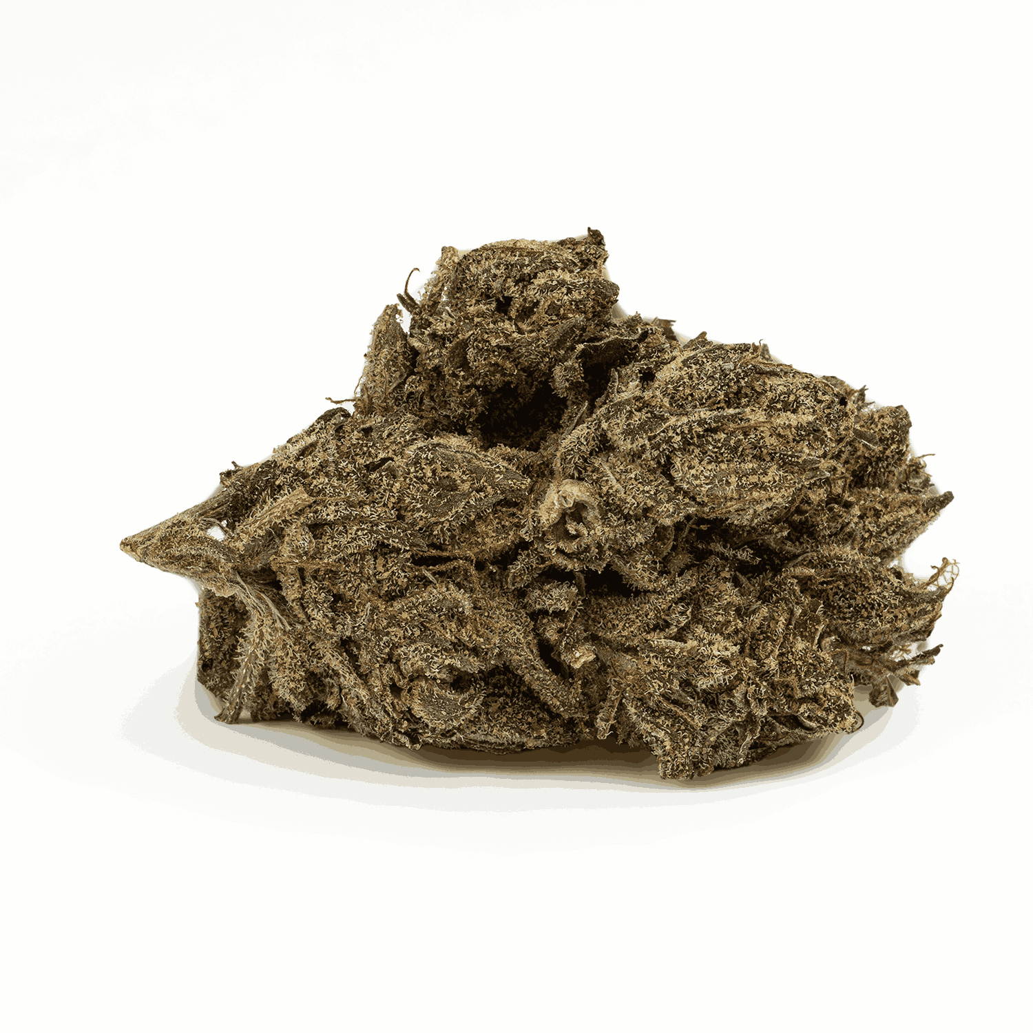 Gasolina (AAAA+) - Image 3