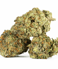 Alternative view of Georgia Pine (AAA+)