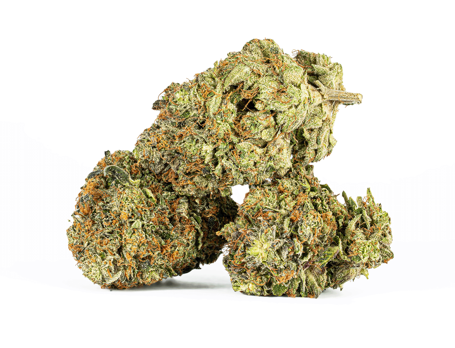 Georgia Pine (AAA+) - Image 2