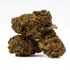 Alternative view of Golden Haze (A)