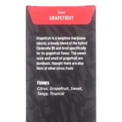 Alternative view of Green Supreme - Distillate Syringes (Grapefruit)