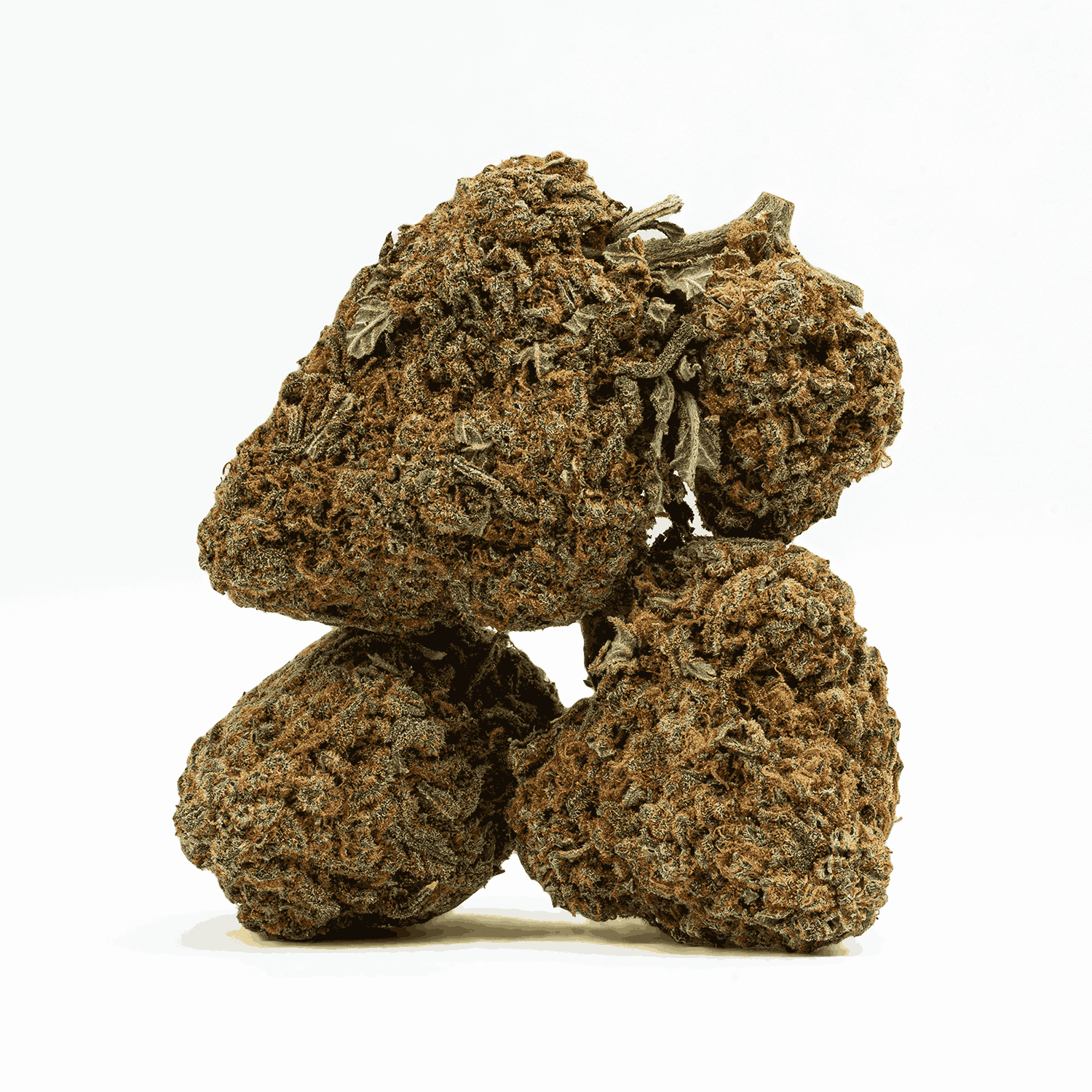 Guava Bomba (AAA) - Image 2