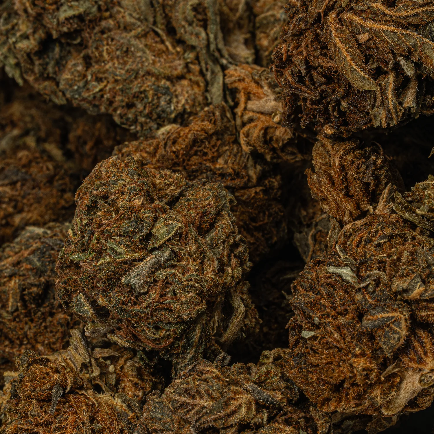 Irish Cream (A) - Image 3