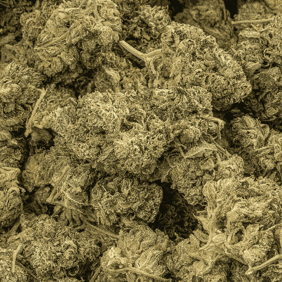 Island Pink Kush (AAA) - Image 4