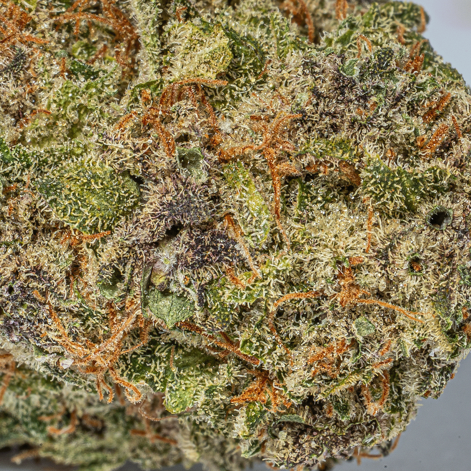 Fruity Pebbles (AAA+) - Image 4