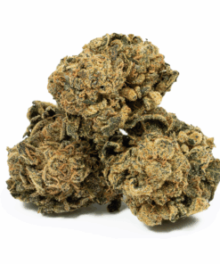 Alternative view of Lemon Skunk (AA)