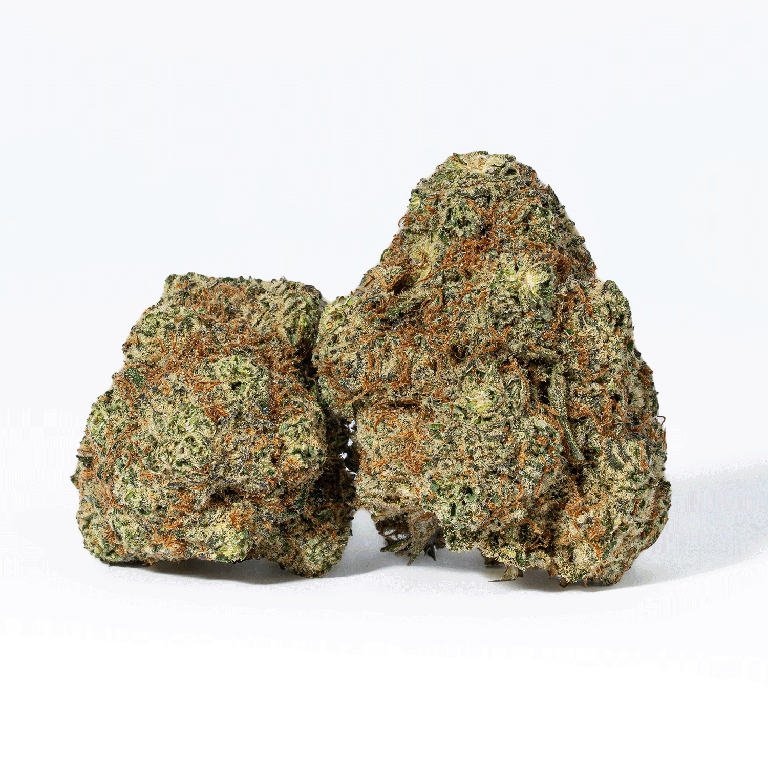 Secret Weapon (AAA+) - Image 2