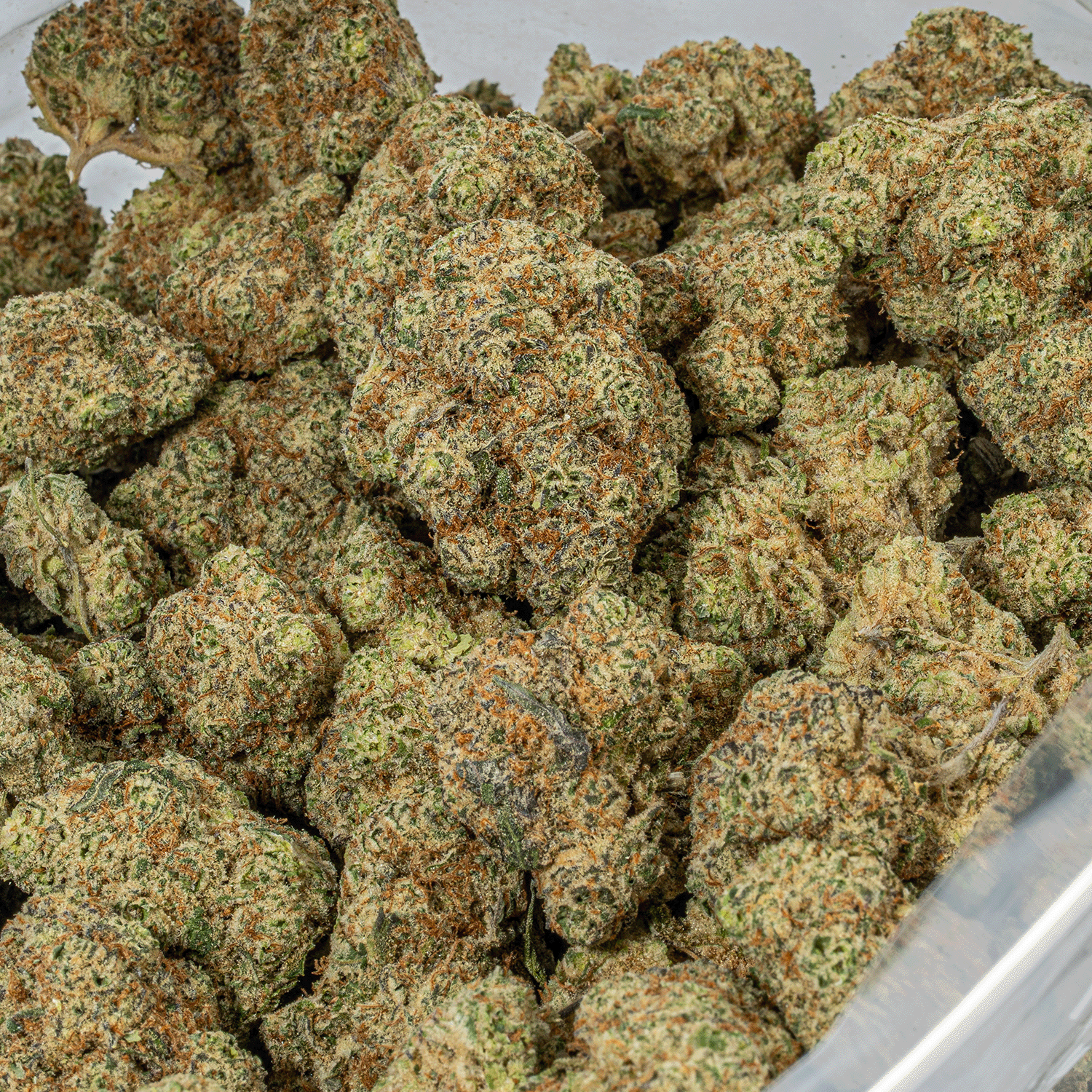 Secret Weapon (AAA+) - Image 5