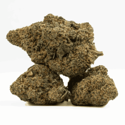 Alternative view of Mai Tai Cake (AAA+)