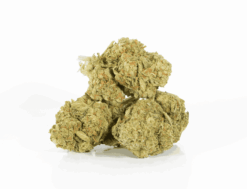 Alternative view of Mango Lemonade (AA)