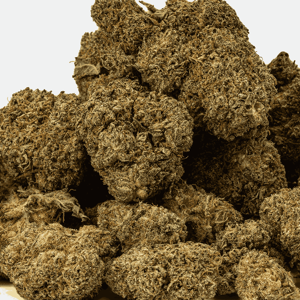 Matrix (AA+) - Image 4