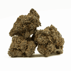 Alternative view of Milk Bone (AAA+)