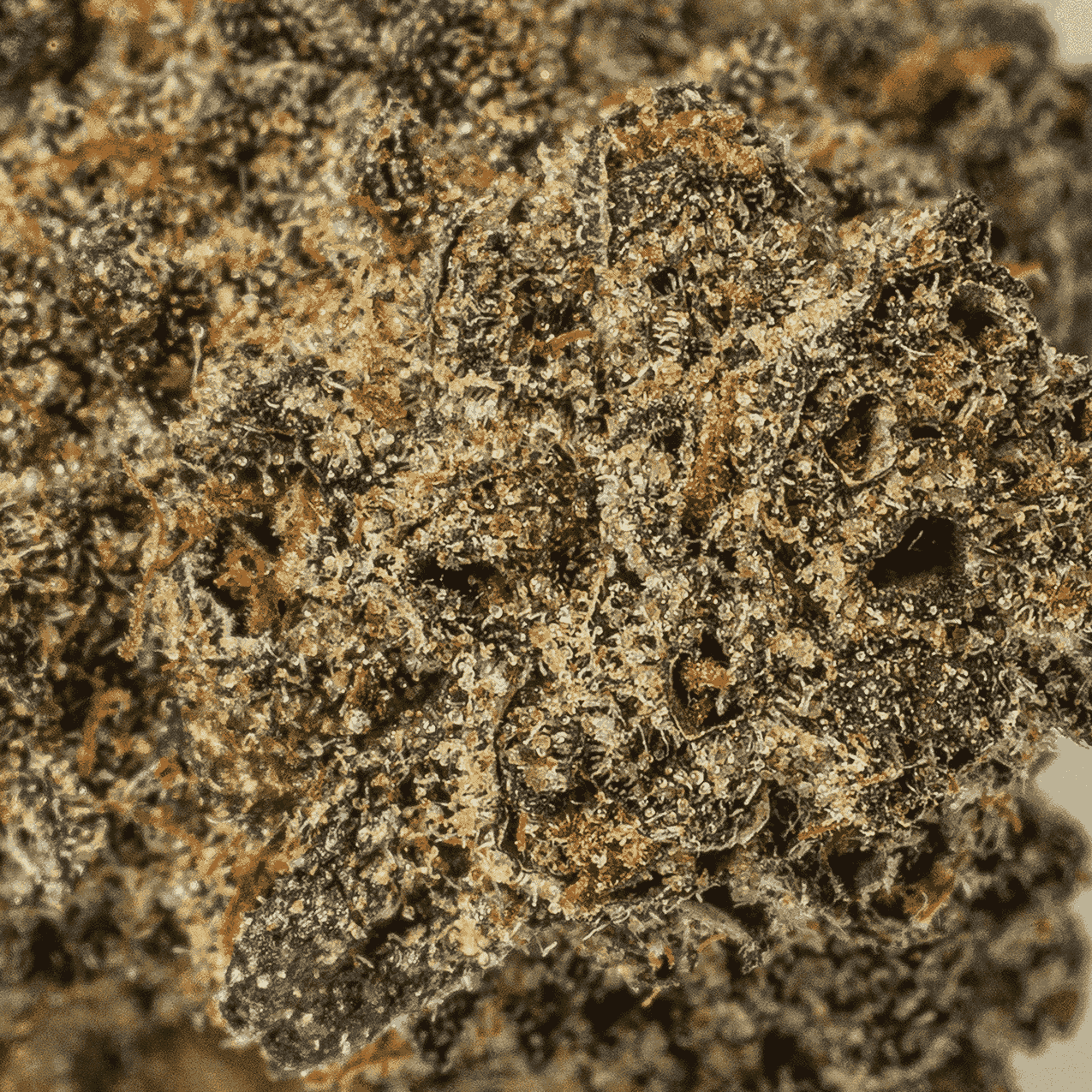 Mint Cake (AA+) - Image 5