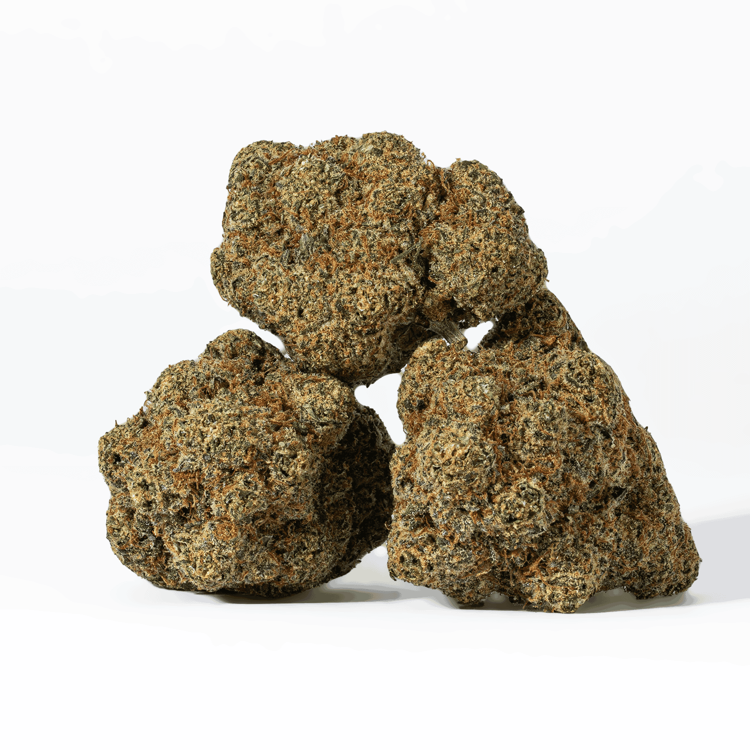 Monster Berry (AA+) - Image 2