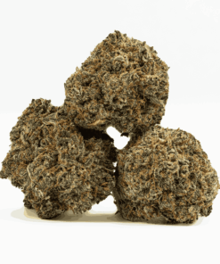 Alternative view of Mother Of Berries (AAA)