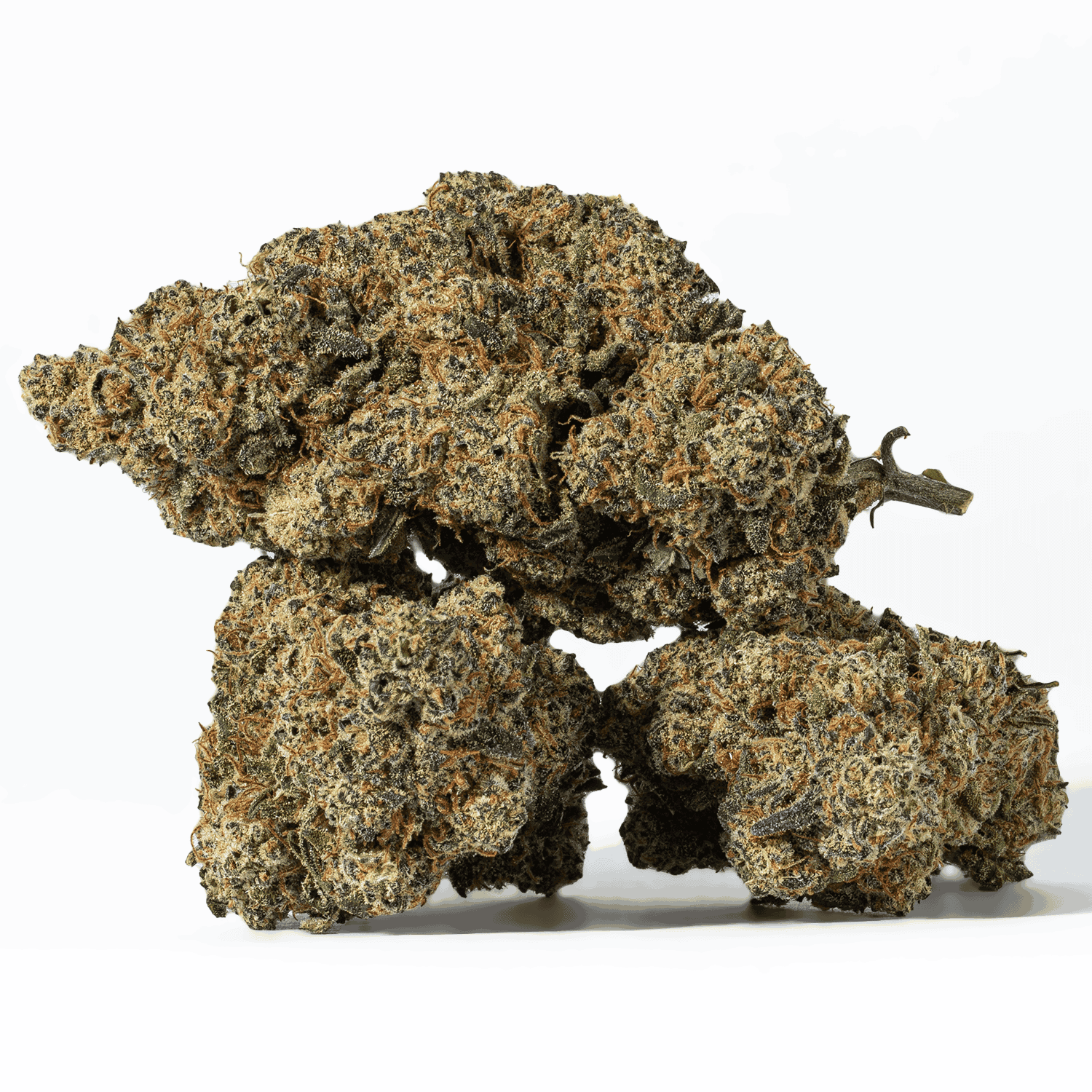 Nuken (AA+) - Image 2