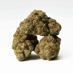 Alternative view of Papaya (AAA)