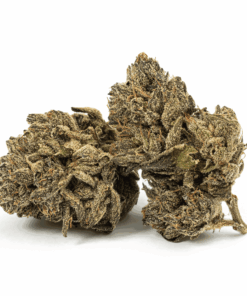 Purple Picasso (AAAA)