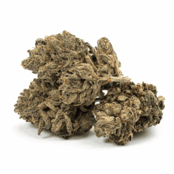 Alternative view of Purple Picasso (AAAA)