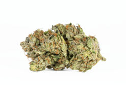 Alternative view of Ghost Ship (AAA+)