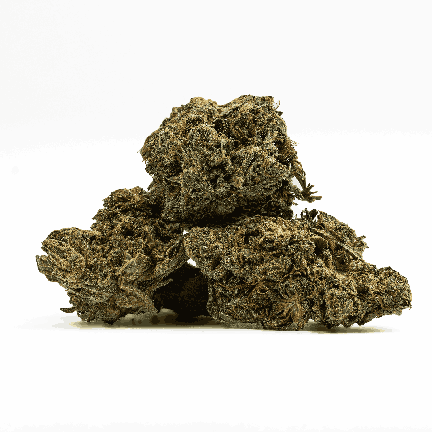 Shark Attack (AA+) - Image 2