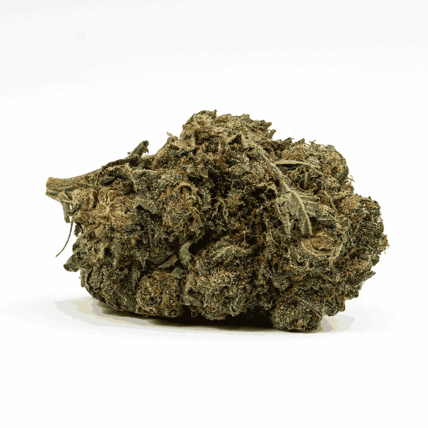 Shark Attack (AA+) - Image 3