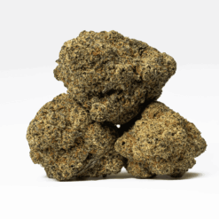 Alternative view of Slapz (AAA+)