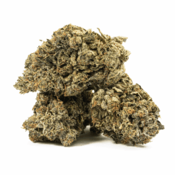 Alternative view of Starfighter (AAA+)