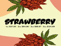 Strawberry AA (Promo)