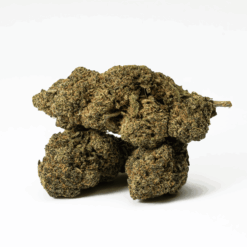 Alternative view of Watermelon Punch (AAA)