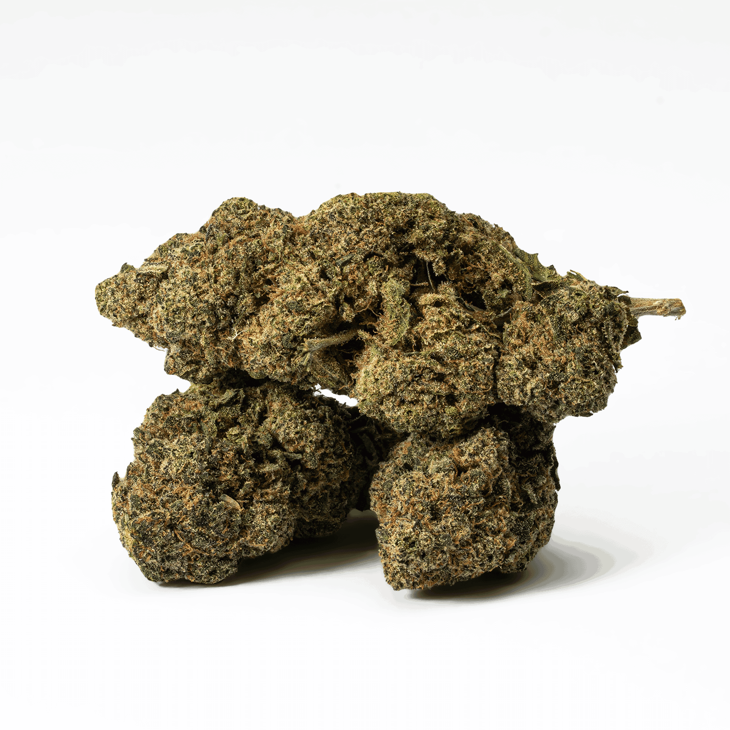 Watermelon Punch (AAA) - Image 2