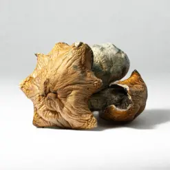 Hillbilly Pumpkin Mushrooms