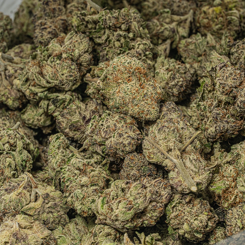 Shishkaberry (AAAA) - Image 4