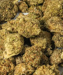 Strawberry AA (Promo)