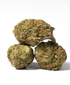 Alternative view of Black Bubba (AA)