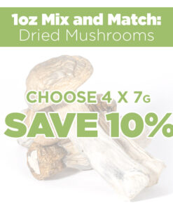 1Oz Mix and Match Dried Mushrooms