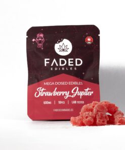 Faded Mega Dosed Astros - Strawberry Jupiter (600mg)