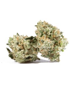 Alternative view of MAC 1 Smalls (AAA)