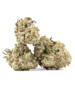 White Widow Smalls (AA+)